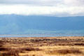 Herds of game on floor of Ngorongoro Crater. Tanzania.