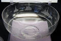 Engraved glass bowl so commemorate surrender of German Naval Fleet by William Ford Ranken made by Edinburgh & Leith Flint Glass Co. at Museum of Edinburgh. Edinburgh, Scotland.