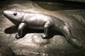 Model of Ichthyostega, first known creature to live in & out of water, at Our Dynamic Earth. Edinburgh, Scotland.