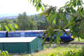 Passenger train passing Highland Folk Museum. Newtonmore, Scotland.