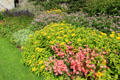 Flowers at Pitmedden Garden. Pitmedden, Scotland.