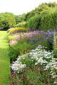 Flowers at Pitmedden Garden. Pitmedden, Scotland.