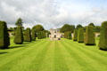 Shaped yew trees for alley at Pitmedden Garden. Pitmedden, Scotland.