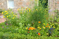 Farmhouse garden at Pitmedden Garden. Pitmedden, Scotland.