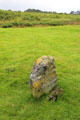 Markers erected to guess positions of Scottish clans at Culloden Battlefield. Culloden Moor, Scotland.