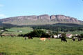 Binevenagh Cliffs near Magilligan. Northern Ireland.