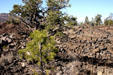 Sunset Crater. AZ.