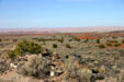 Sunset Crater. AZ.