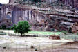 Canyon de Chelley National Monument. AZ.