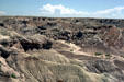 Petrified Forest National Park. AZ.