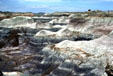 Petrified Forest National Park. AZ.
