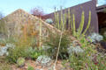 Architecture merges with desert at Sonoran Desert Museum. Tucson, AZ.