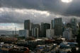 Financial District from Coit Tower. San Francisco, CA.