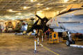 Hanger deck of USS Hornet with collection of aircraft. Alameda, CA.