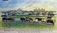 Buffalo Bill's home & horse ranch on the old fighting ground of the Pawnee & Sioux on the Platte on Cody Scenes of Life poster. CO.