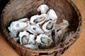 Oysters, early American food, at Silas Deane House. Wethersfield, CT.