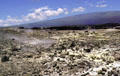 Steam escaping from Kilauea lava field in Volcanoes National Park. Big Island of Hawaii, HI.