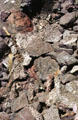 Lava colors in Volcanoes National Park. Big Island of Hawaii, HI.