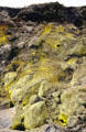 Sulfur vents in Volcanoes National Park. Big Island of Hawaii, HI.