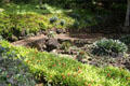 Garden of The Contemporary Museum. Honolulu, HI.