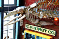 Whale skeletons at New Bedford Whaling Museum. New Bedford, MA.