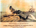 Lithograph of whale hunt on advertisement for dealers in whale oil Mitchell & Croasdale of Philadelphia at New Bedford Whaling Museum. New Bedford, MA.