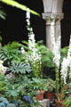 Courtyard garden of Gardner Museum. Boston, MA.