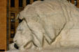 Marble lion grieves at base of William McKinley Memorial. Buffalo, NY.