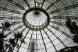 Palms in glass dome of conservatory of Botanical Gardens. Buffalo, NY