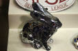 Rabbit hood ornament in Pierce-Arrow Museum. Buffalo, NY.