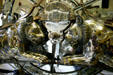 Lion detail on side of Weiner parade carriage at FASNY Museum of Firefighting. Hudson, NY.
