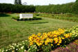 Tomb of Franklin & Eleanor Roosevelt in rose garden of Springwood. Hyde Park, NY.