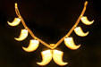 Set of tiger claws in necklace which belonged to Eleanor Roosevelt. Hyde Park, NY.