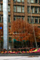 Stainless steel Liberty Pole by James H. Johnson before Sibley Tower. Rochester, NY.