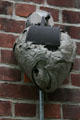 Wasp nest in Wildwood Manor House gardens. Toledo, OH.