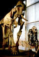 Mastodon skeleton at Museum of Natural History. Cleveland, OH.