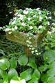 Garden at Kelton House Museum. Columbus, OH.