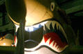 Curtiss P-40E Warhawk fighter at National Museum of USAF. Dayton, OH.