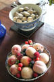 Muscles & fruits at Johnston Farm. Piqua, OH.