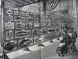 Food Fishes of the Sea in United States Government Building at Centennial Exposition. Philadelphia, PA.