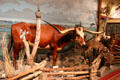 Texas longhorn in nature diorama at Buckhorn Museum. San Antonio, TX.