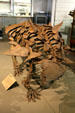 Gastonia burgei armored dinosaur of Early Cretaceous era found in Utah at BYU Earth Science Museum. Provo, UT.